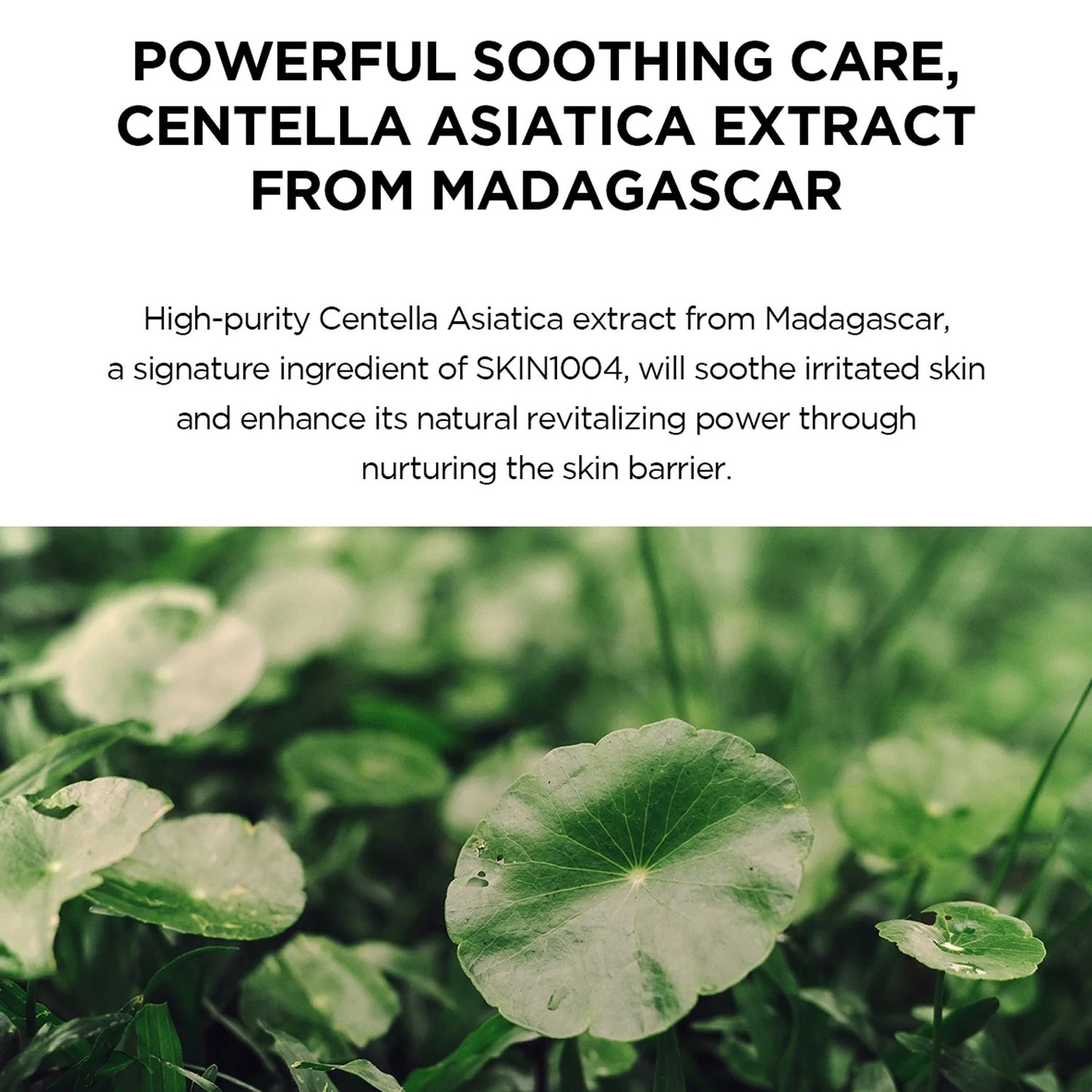 Madagascar Centella, Hyalu-Cica Water-Fit Sun Serum SPF 50+ PA++++